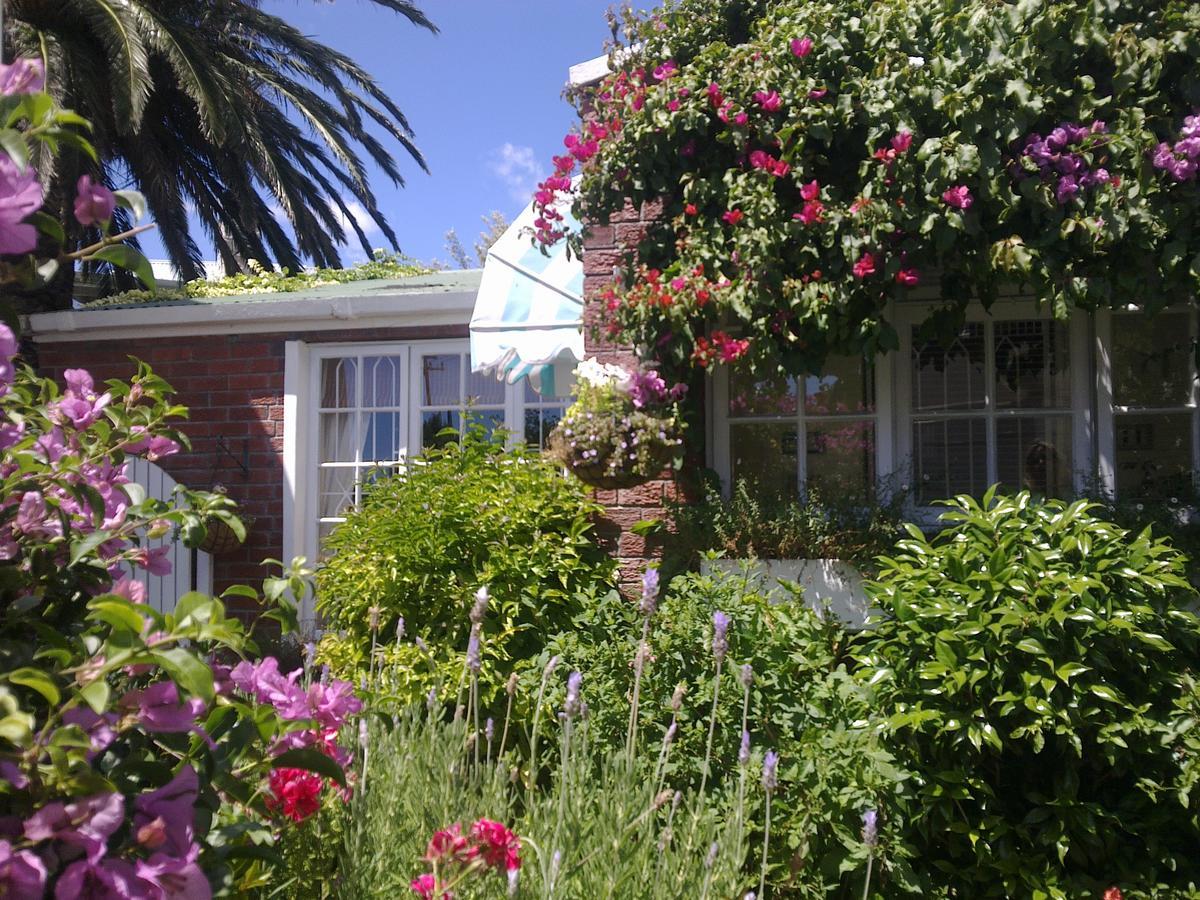 Sherwood Boutique Cottage Cape Town Dış mekan fotoğraf
